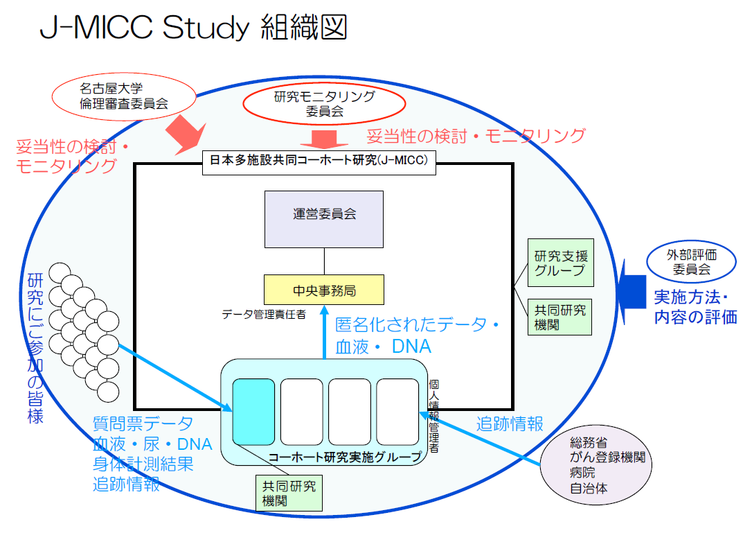 J-MICC STADY 組織図